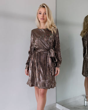 Bronce Long Sleeve Mini Dress