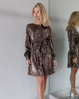 Bronce Long Sleeve Mini Dress